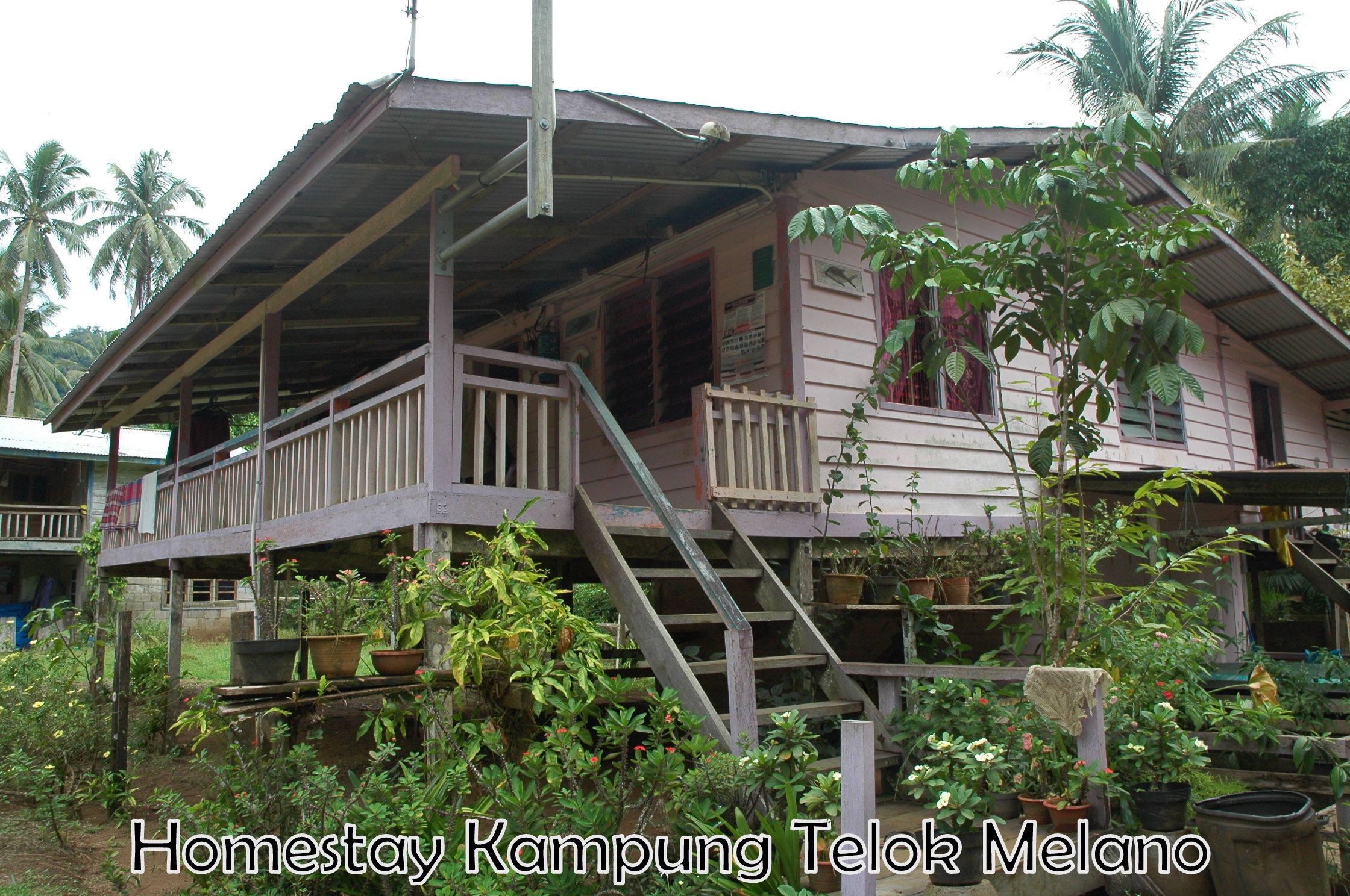 Melano Homestay: Kehangatan Rumah di Balik Jembatan Cilacap
